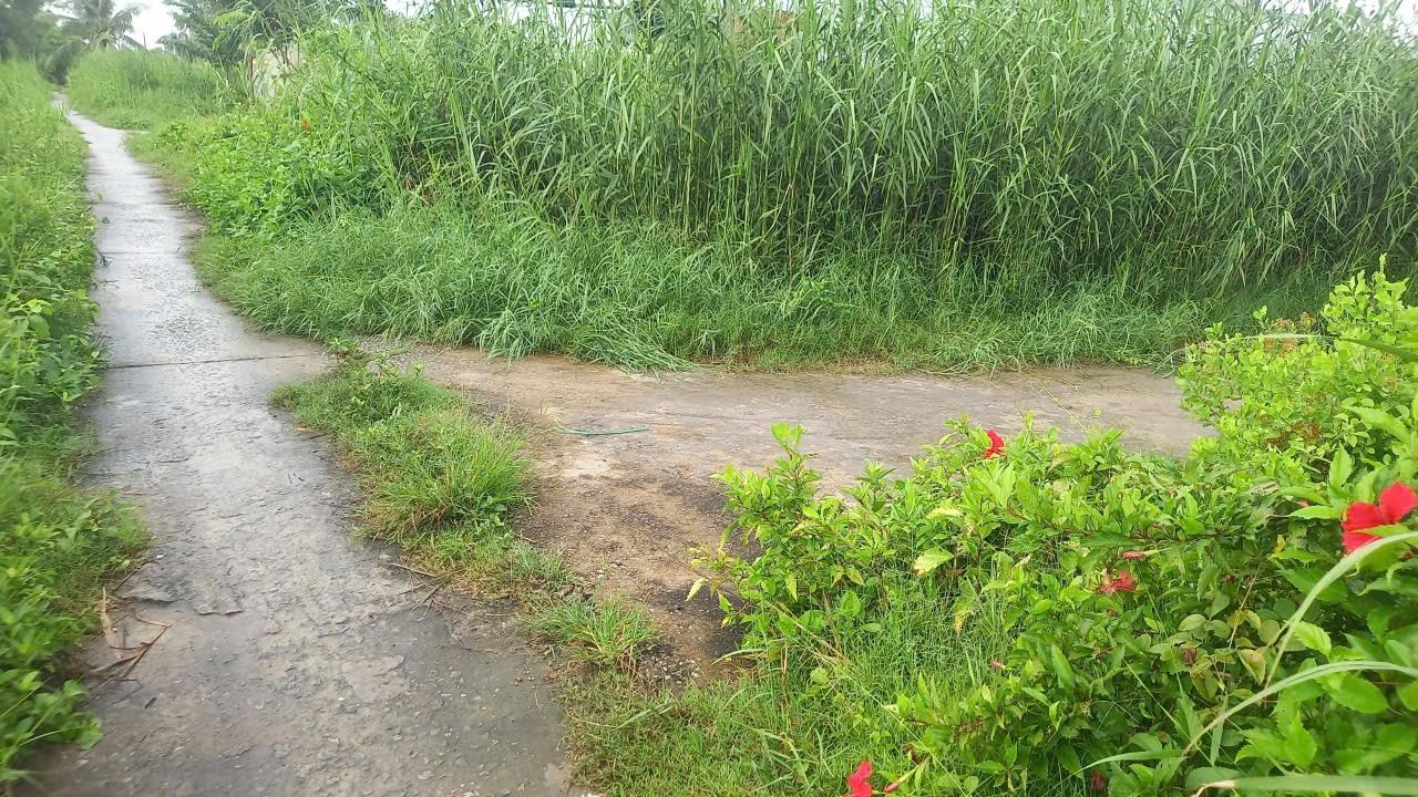 Đất nền Sông Đốc Cà Mau 300m² giá 310 triệu - Đầu tư sinh lời ngay!