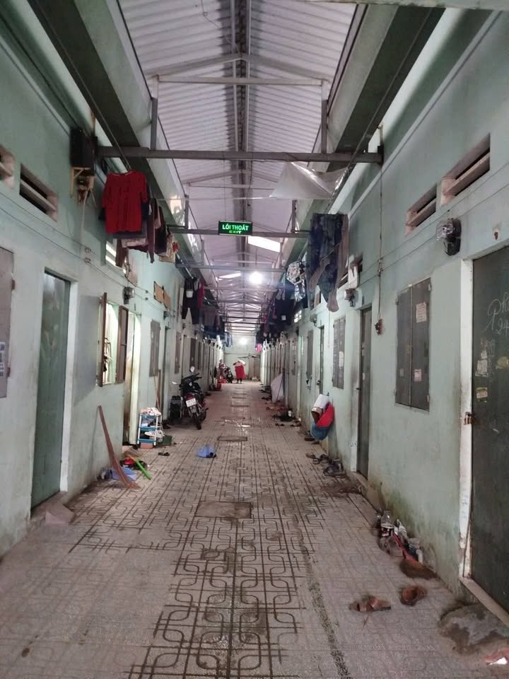 Phòng trọ cho thuê tại Khu Phố 1, Phường Hội Nghĩa, 600m² - Thu nhập 40 triệu/tháng!