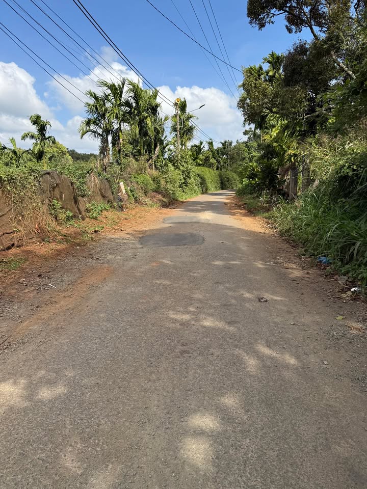 Đất Hòa Thắng Buôn Ma Thuột 175m² giá 1.8 tỷ - Vị trí đẹp, hai mặt tiền!