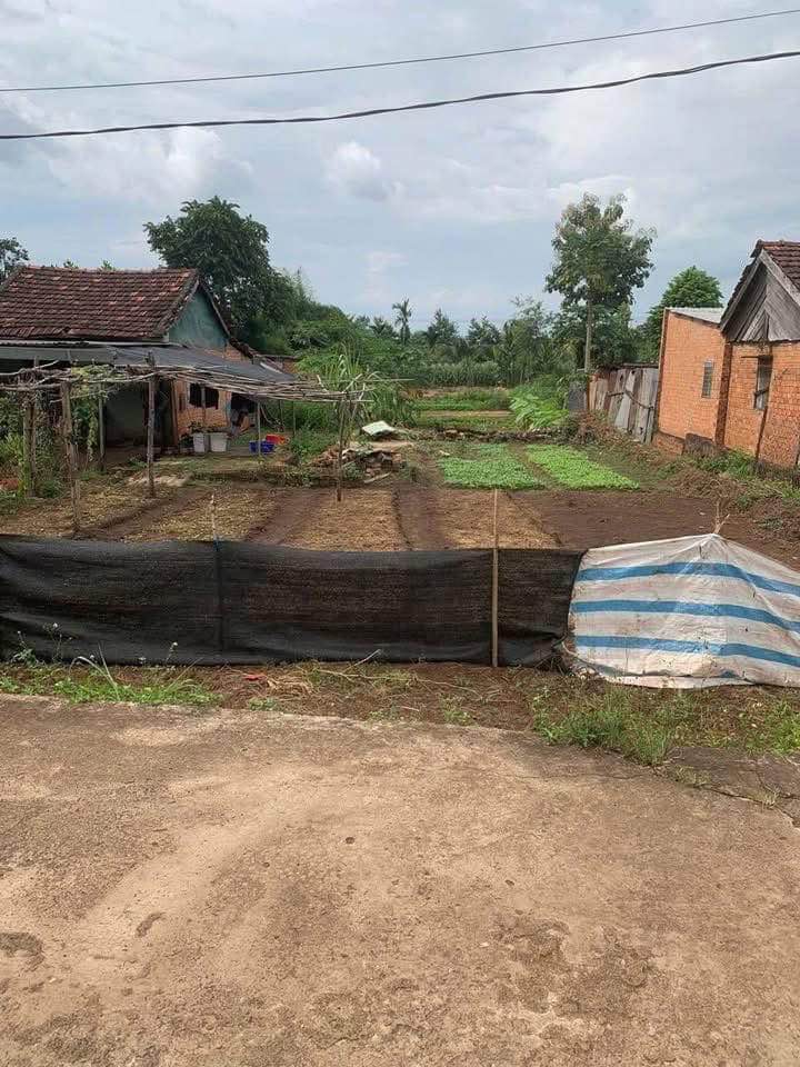 Đất thổ cư Hòa Phú Buôn Ma Thuột 350m² giá 725 triệu - Cơ hội đầu tư sinh lời!