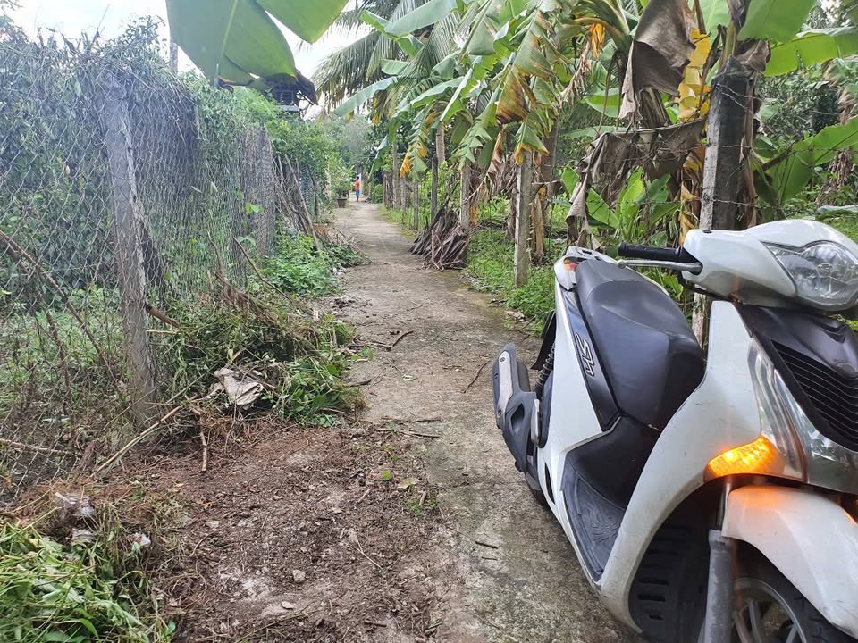 Đất nền 5602m² tại An Sơn, Thuận An - Giá 5.5 triệu/m², thương lượng!