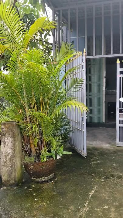 Nhà đẹp phường Bình Kiến Tuy Hòa 124m² giá 870 triệu - Sẵn sàng giao dịch ngay!