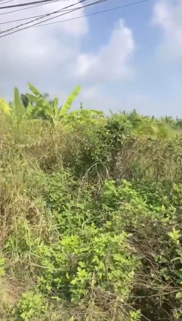 Đất vườn Tân An 840m² giá 3.2 tỷ - Đầu tư sinh lời ngay!