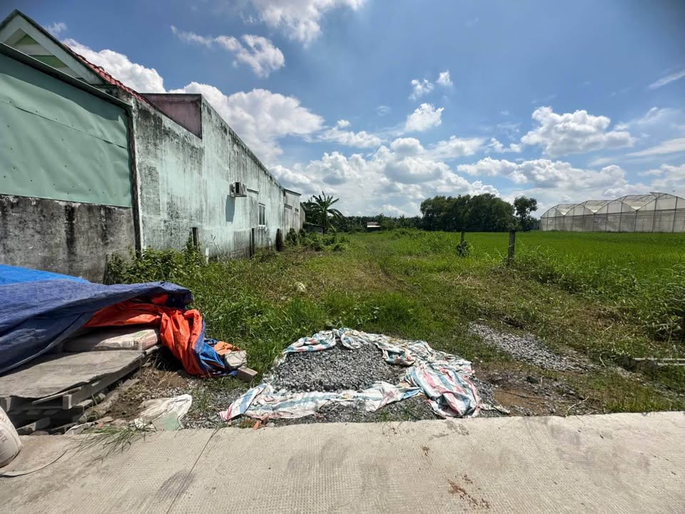 Đất vườn 500m² mặt tiền hẻm 424, P7, Tân An - Giá 3 tỷ, thương lượng ngay!