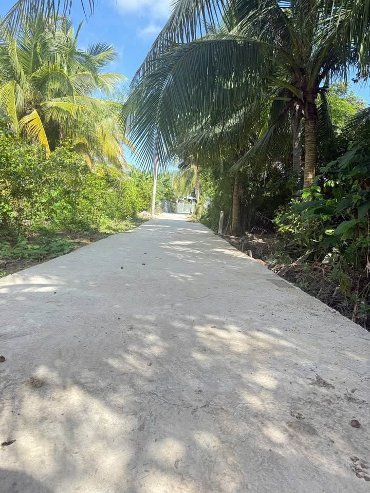 Đất nền 1199m² phường Tân Hạnh, Long Hồ - Đường ô tô vào tận nơi!