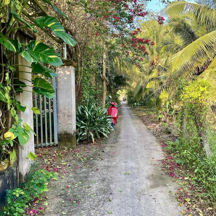 Đất nông nghiệp xã Sơn Đông Bến Tre 322m² giá 950 triệu - Gần chợ và giao thông thuận lợi!