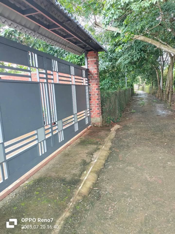 Đất nền Long Phước Bà Rịa 4.337m² giá 5.4 tỷ - Cơ hội đầu tư hấp dẫn!