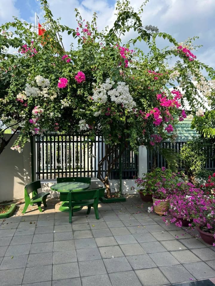 Nhà vườn Kim Dinh Bà Rịa 574m² giá 5.4 tỷ - Không gian yên bình gần gũi thiên nhiên!