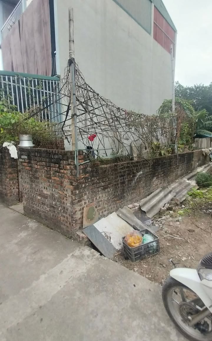 Lô đất Thượng Phúc, Tả Thanh Oai 60m² giá 6 tỷ - Sổ đỏ chính chủ!