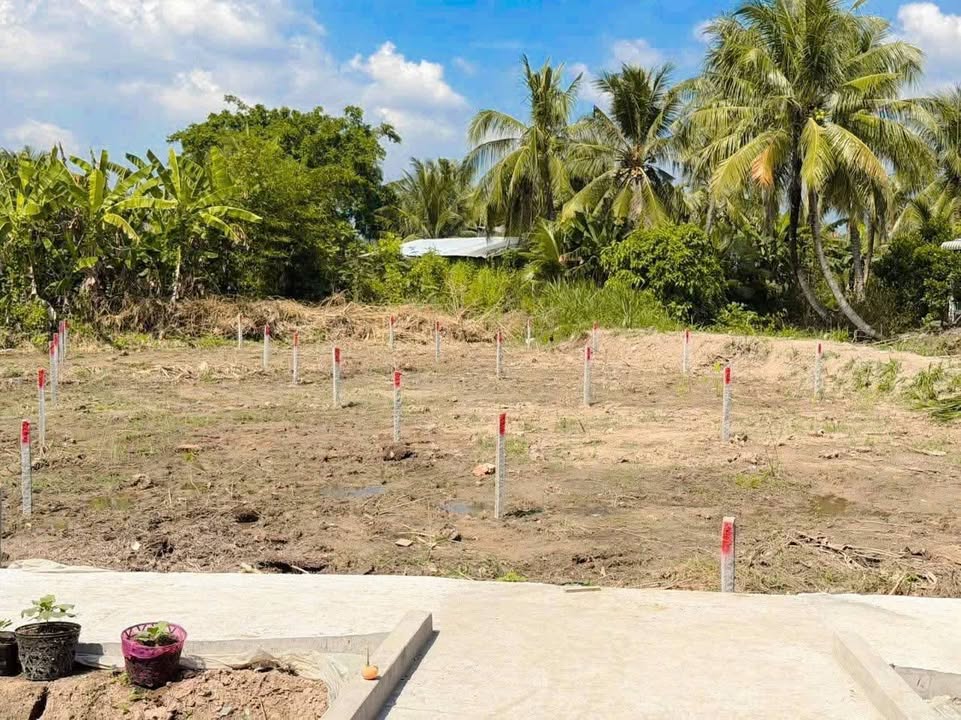 Đất nền Tân Lược, Bình Tân 160m² giá 199 triệu - Sổ hồng thổ cư 100%!