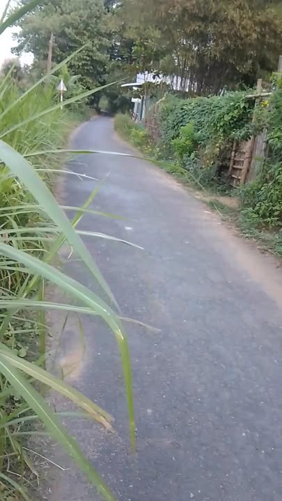 Đất mặt tiền ấp Thanh Xuyên, xã Hàm Giang 480m² giá 320 triệu - Đầu tư sinh lời ngay!