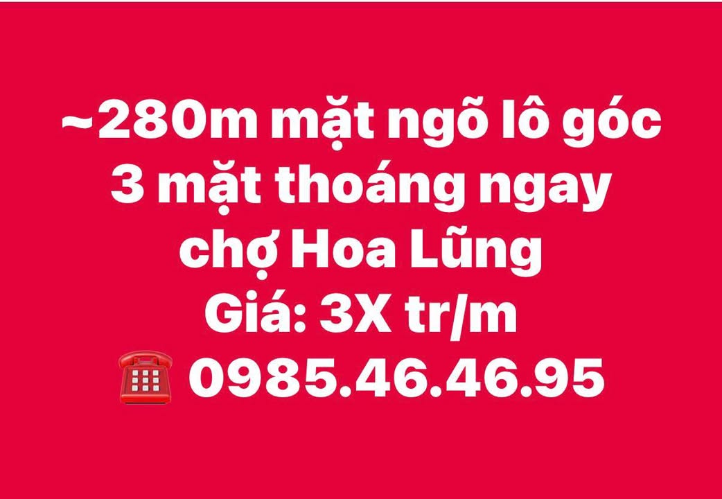 Đất lô góc 280m² Đằng Hải - Mặt ngõ 3 mặt thoáng, gần chợ Hoa Lũng, giá thỏa thuận