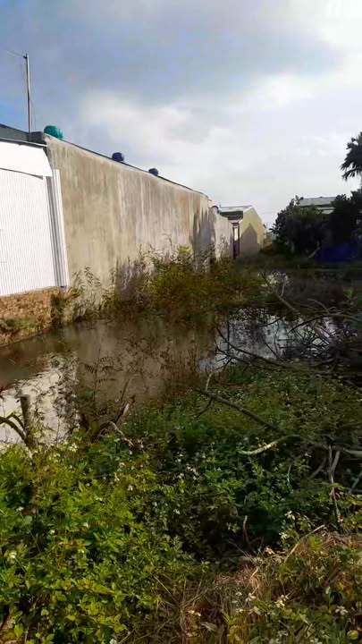 Đất nền Thôn 3, xã Mỏ Cày, huyện Mộ Đức, 150m² - Giá chỉ 700 triệu!