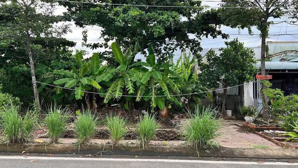 Đất nền đường Nguyễn Huệ, Kiên Lương, 225m² chỉ 1.36 tỷ - Cơ hội đầu tư hấp dẫn!