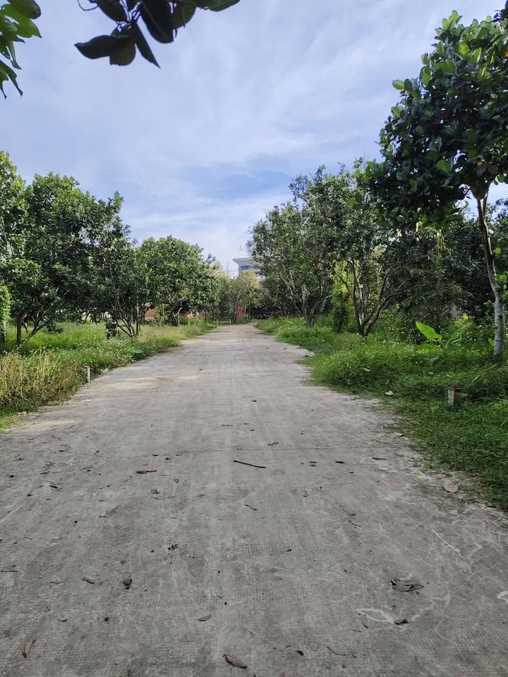 Lô đất Bình Lộc 105m² giá 1.08 tỷ - Sổ đỏ chính chủ, xây ngay!