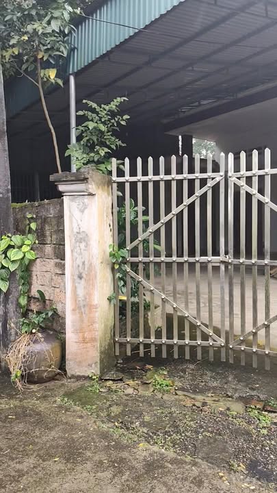 Đất thổ cư Tiêu Sơn Đoan Hùng 600m² giá 1.1 tỷ - Sở hữu ngay vị trí đẹp!