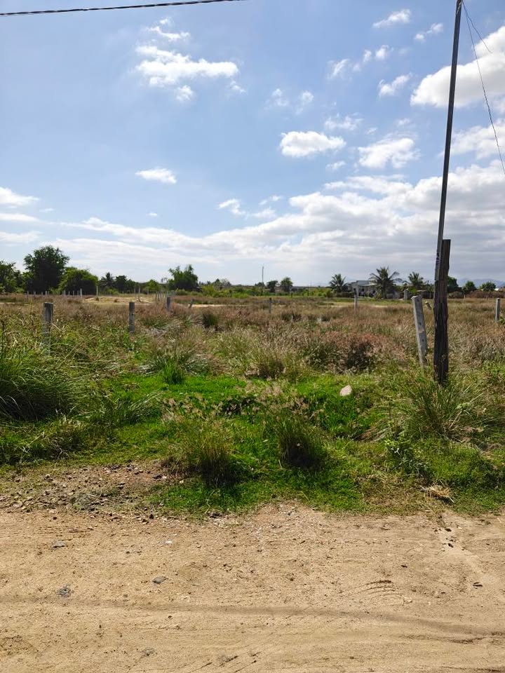 Đất nền tái định cư Phước An, Ninh Phước 600m² - Sổ đỏ chính chủ, giá đầu tư hấp dẫn!