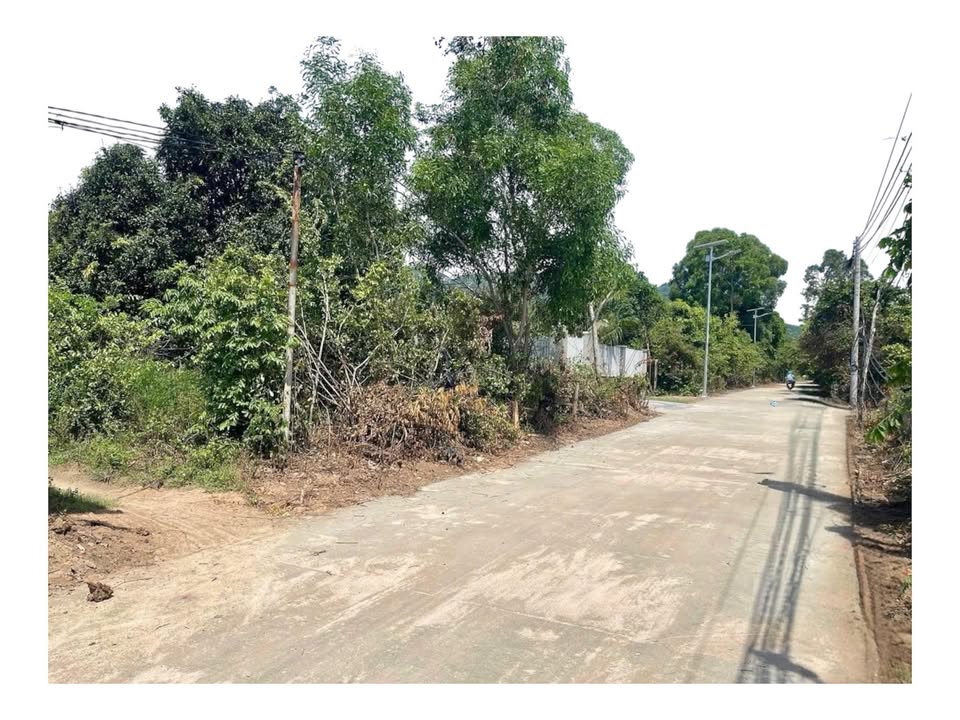 Đất thổ cư Cam Phúc Bắc 104.05m² giá 1.1 tỷ - Mặt tiền đường Huyền Trân Công Chúa