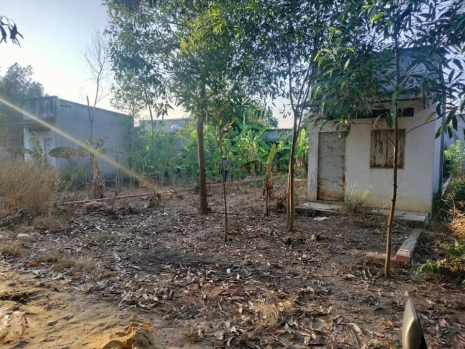 Đất nền Tam Phước Biên Hòa 250m² giá 1.09 tỷ - Sổ đỏ chính chủ!