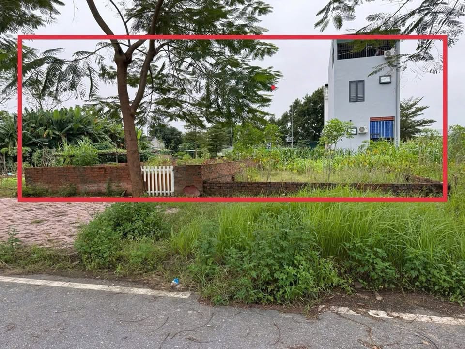 Đất nền Vũ Thế Lang, Thanh Miếu, Việt Trì 126m² - Vị trí trung tâm đẹp miễn bàn!