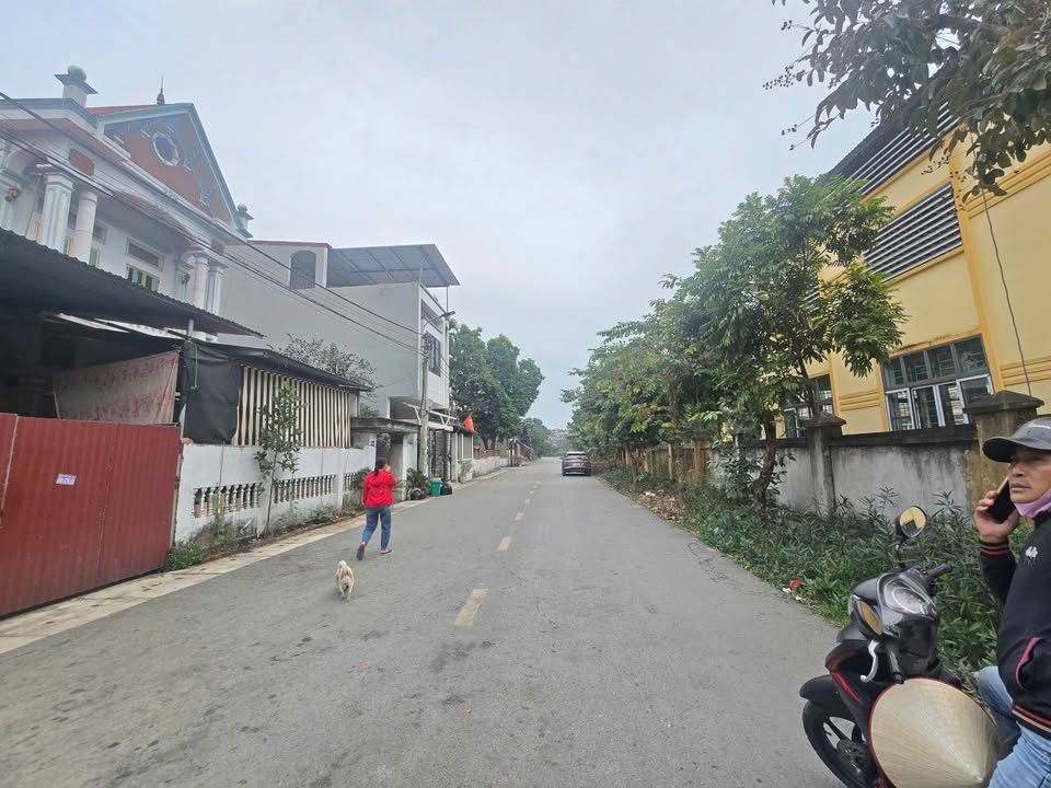 Đất nền thôn Tảo Phú, xã Tam Hồng, 100m² giá 4.1 tỷ - Cơ hội đầu tư hấp dẫn!