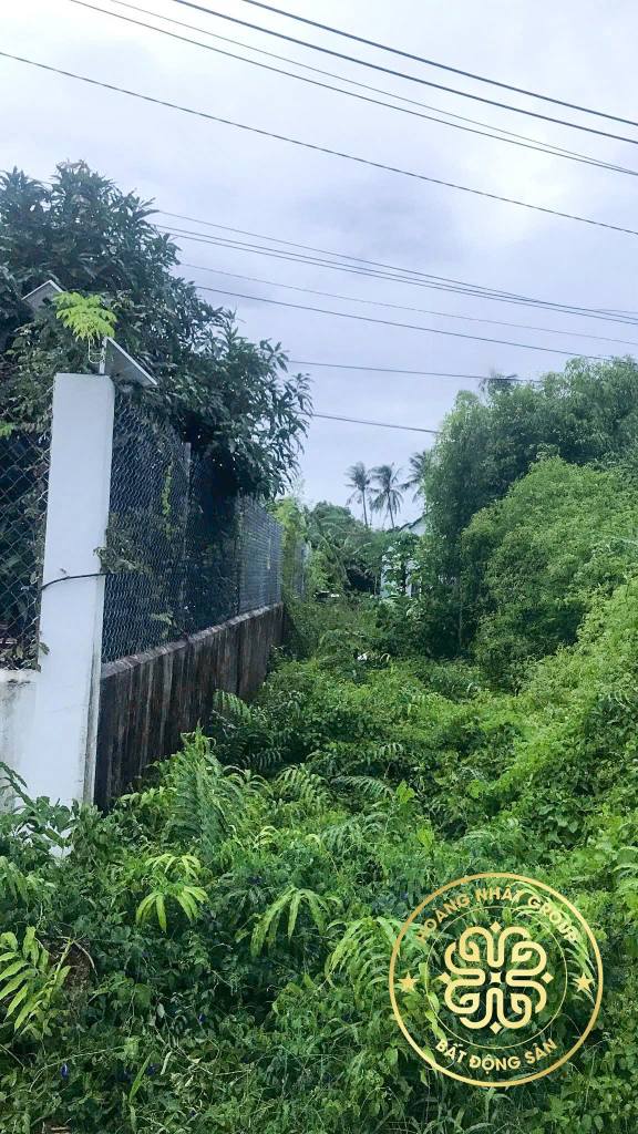 Đất nền tại Phường Tân Thành, Cà Mau 246m² giá 600 triệu - Sở hữu ngay vị trí đẹp!