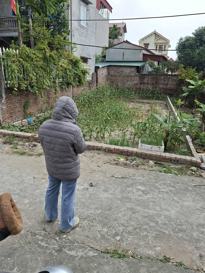 Đất An Bình Thường Tín 100m² giá 1.9 tỷ - Tiềm năng tăng giá rõ rệt!