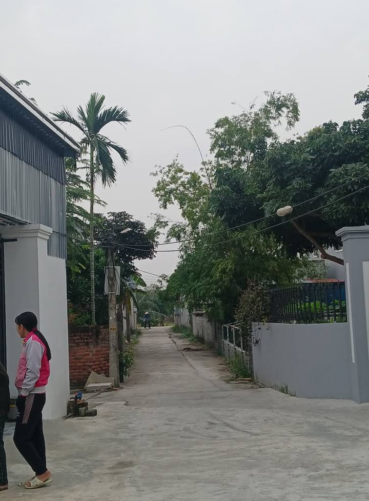 Đất nền Tự Cường, Tiên Lãng 75m² giá thỏa thuận - Ngõ ô tô đỗ trước đất!