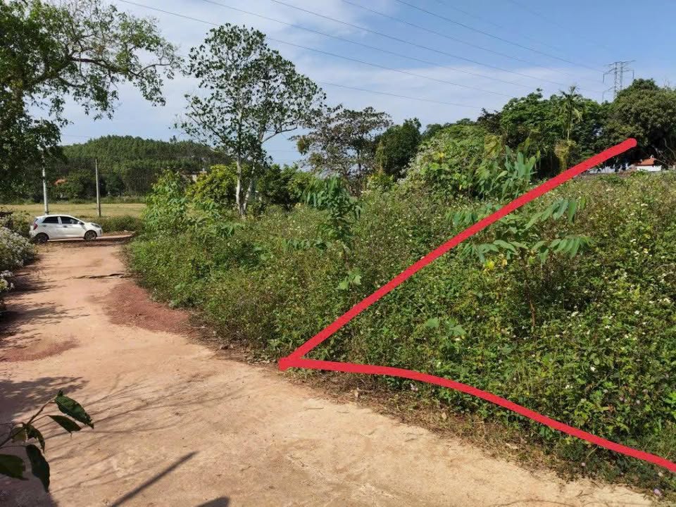 Đất thổ cư 1100m² Thanh Lâm, Lục Nam, Bắc Giang giá chỉ 800 triệu - Cơ hội đầu tư hấp dẫn!