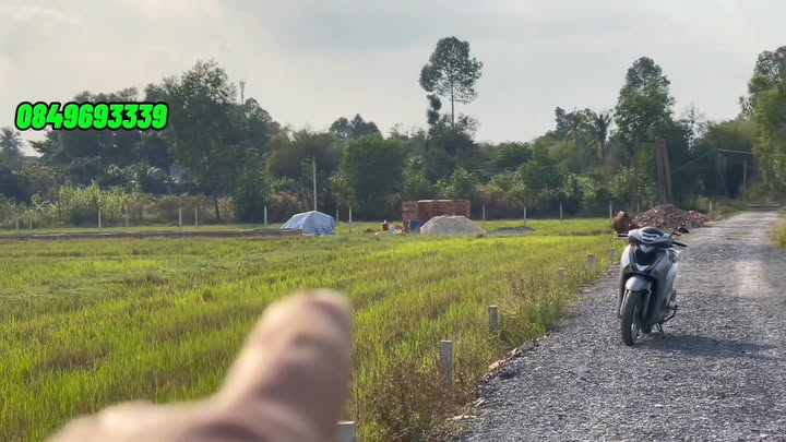 Đất thổ cư Bến Cầu 250m² giá 260 triệu - Cơ hội đầu tư tuyệt vời!