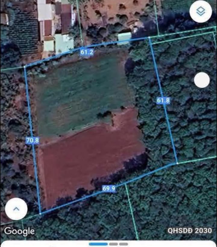 Đất 4 sào Long Phước, Bà Rịa - Vũng Tàu, 4.300m² giá 5.4 tỷ - Cơ hội đầu tư sinh lời!