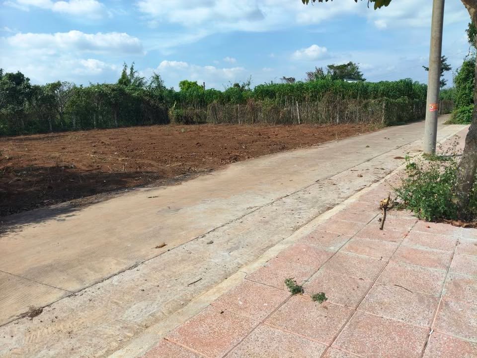 Đất nền Ngãi Giao Châu Đức 120m² giá 780 triệu - Đầu tư tiềm năng không thể bỏ qua!