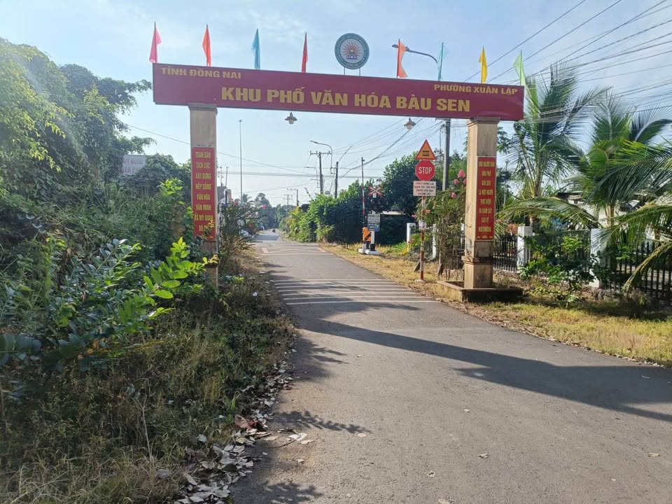 Đất nền 118m² Phường Xuân Lập, Long Khánh - Sổ riêng thổ cư, giá 900 triệu!