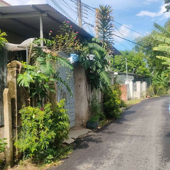 Đất Diên Lạc, Diên Khánh 110m² giá 900 triệu - Đường nhựa ô tô thông thoáng!