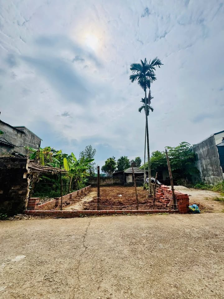 Đất nền 114m² phường Sông Lô, TP Việt Trì - Giá chỉ 19xx triệu, cơ hội đầu tư tuyệt vời!