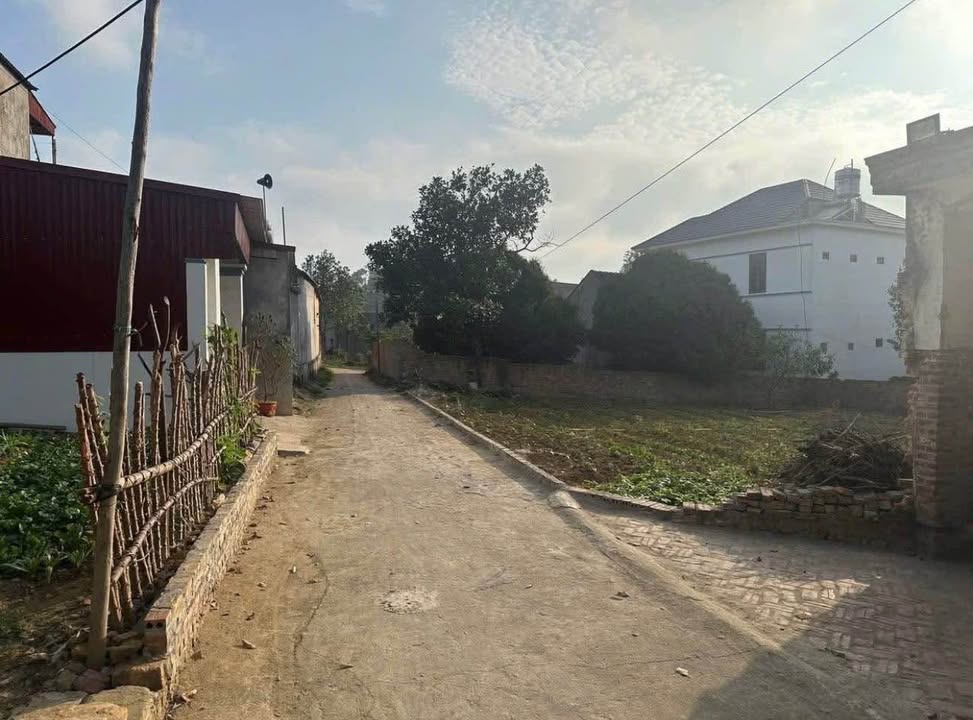 Đất thổ cư phân lô Phù Lãng, Quế Võ 90m² chỉ 1 tỷ - Cơ hội đầu tư hấp dẫn!