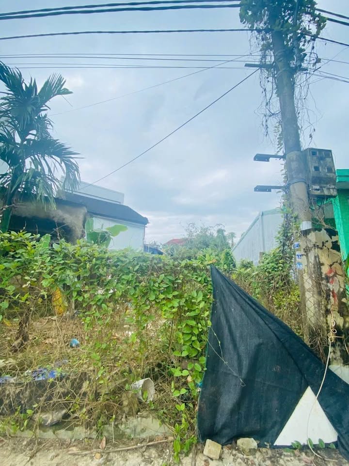 Đất thổ cư Hòa Vang 147m² giá 1.1 tỷ - Phong thủy tốt, vị trí đắc địa!