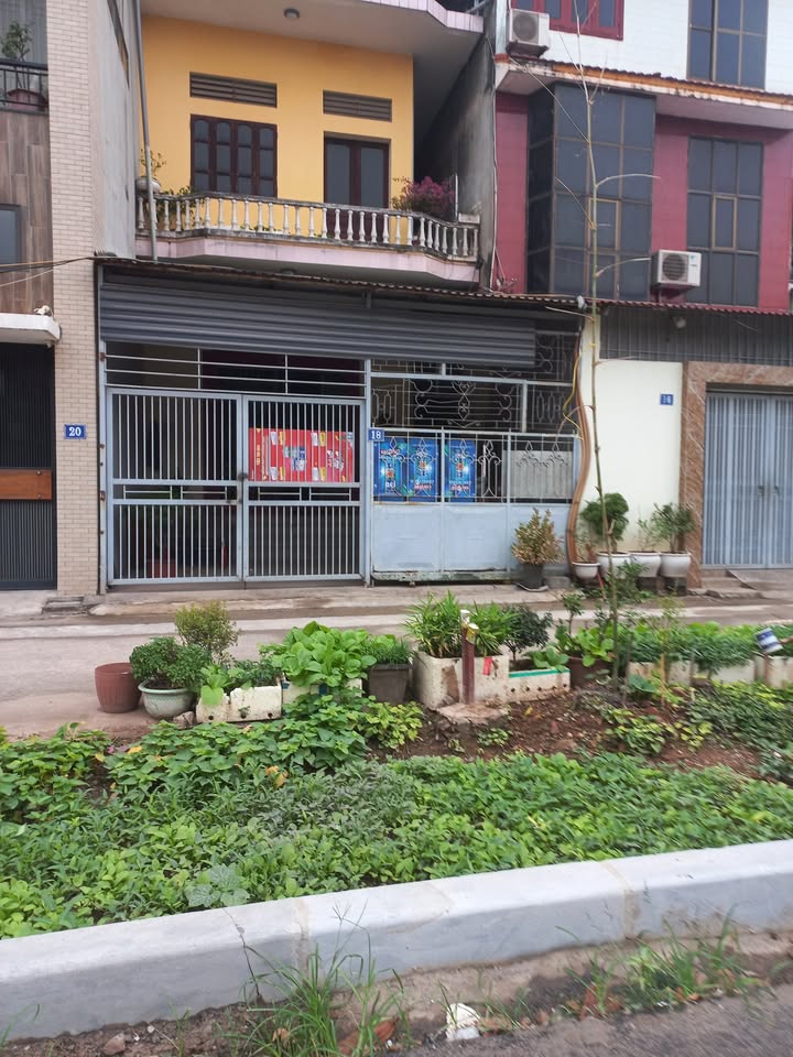 Đất nền Long Biên 111.3m² giá thỏa thuận - Tặng nhà 2 tầng hướng Đông Nam!