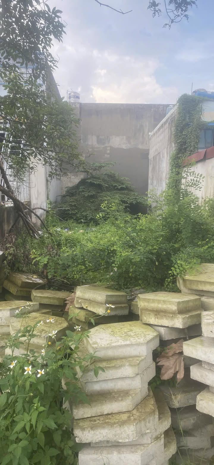 Đất mặt tiền Thạnh Xuân 35, Quận 12, 175m² giá 7.5 tỷ - Cơ hội đầu tư hấp dẫn!