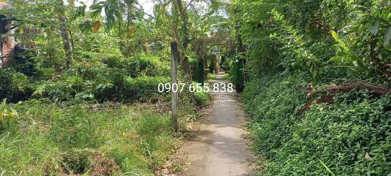 Đất thổ cư 600m² đường Võ Văn Kiệt, Trà Vinh - Tiềm năng đầu tư lớn!