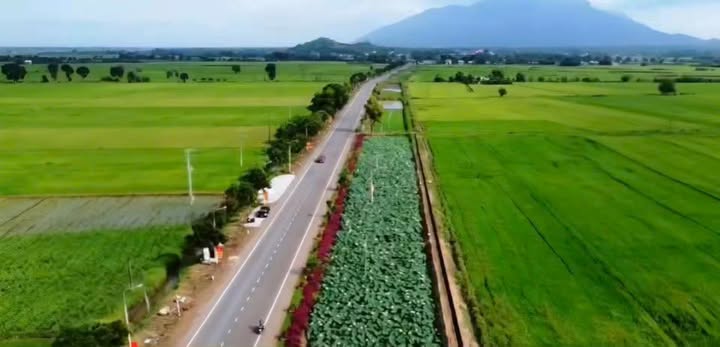 Đất nền 3,5 sào tại Xuân Phú, Đồng Nai - Giá chỉ 805 triệu đồng