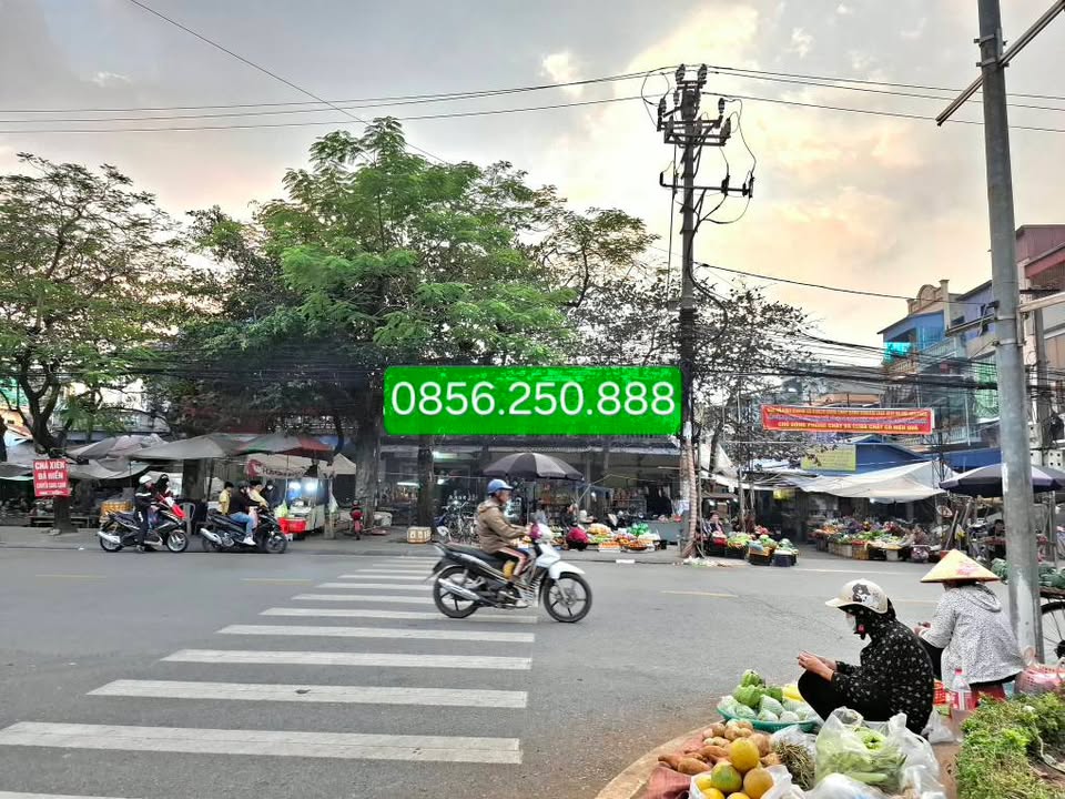 Mặt phố Chu Văn, Hạ Long, 110m² - Phong thủy đẹp, kinh doanh thuận lợi!