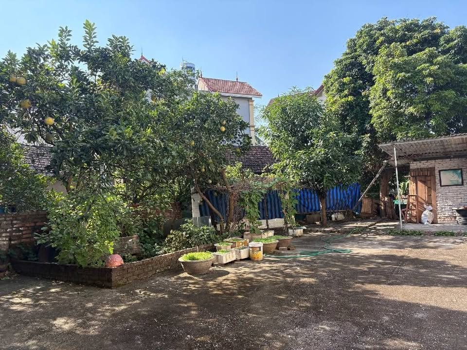 Mặt phố Đa Tốn Gia Lâm 150m² giá 17 tỷ - Vỉa hè kinh doanh sầm uất!