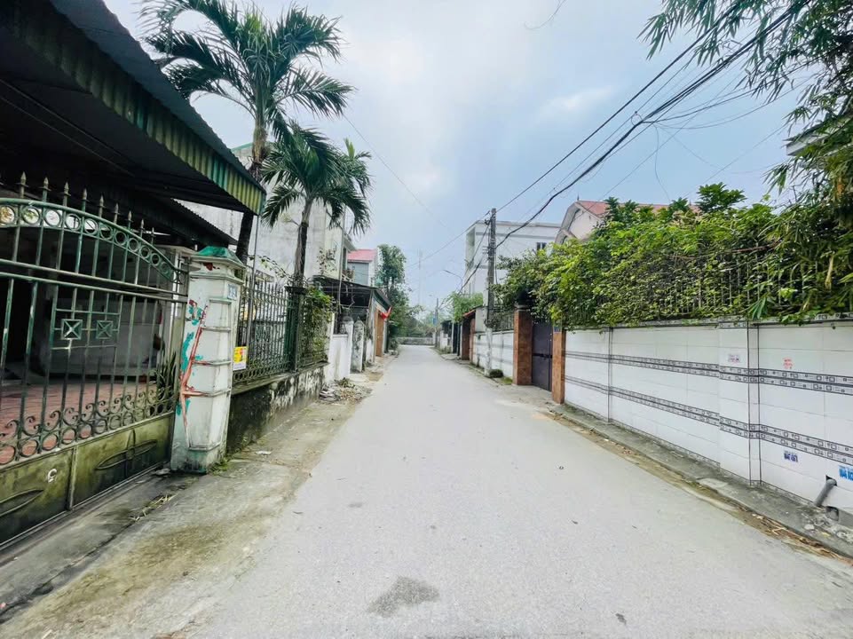 Đất mặt tiền đường Nguyễn Khánh Toàn, Trường Vinh 55m² giá 3 tỷ - Đầu tư sinh lời hấp dẫn!