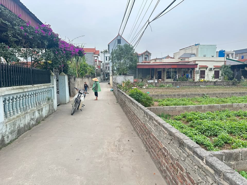 Đất nền Chương Dương, Thường Tín 80.6m² giá chỉ 4 triệu/m² - Đường ô tô thông thoáng!