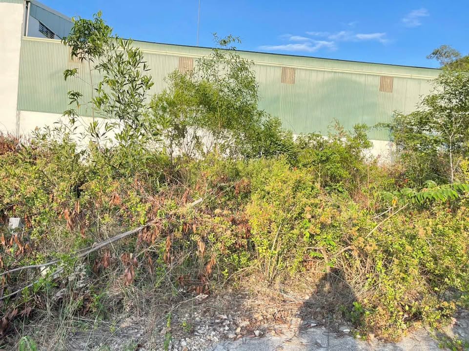 Lô đất Phước Đồng, Nha Trang 200m² giá 1.3 tỷ - Cơ hội đầu tư không thể bỏ lỡ!