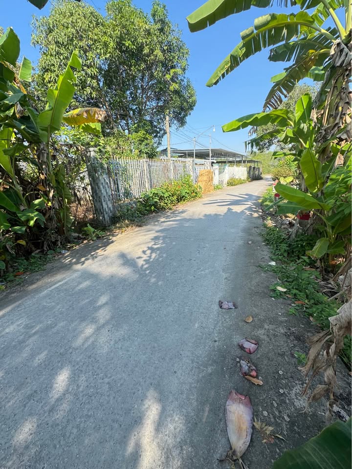 Đất nền Hưng Phú, Cái Răng 193.6m² giá 850 triệu - vị trí đẹp gần chợ