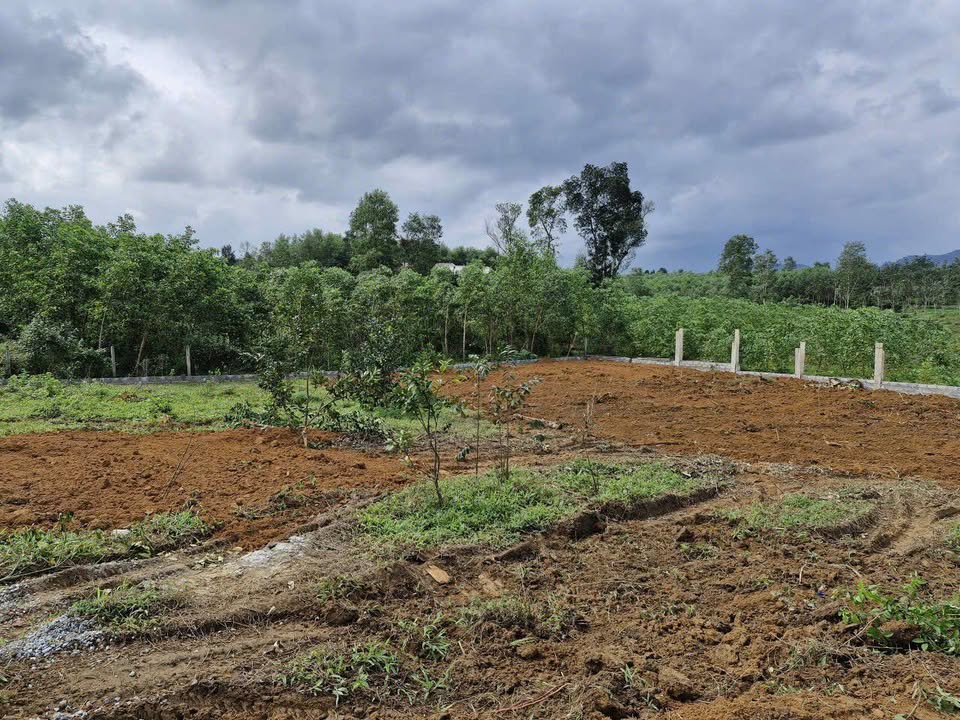 Đất nền Hương Trà 156m² giá chỉ 2xx triệu - Đầu tư sinh lời ngay!