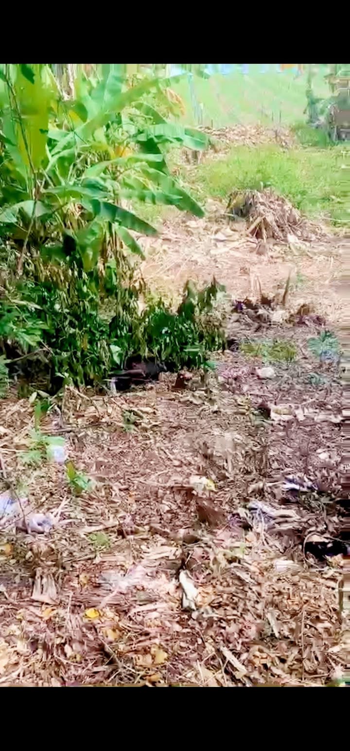 Đất mặt tiền kênh KM5, Tân Châu 6000m² giá 600 triệu - Đầu tư sinh lời ngay!