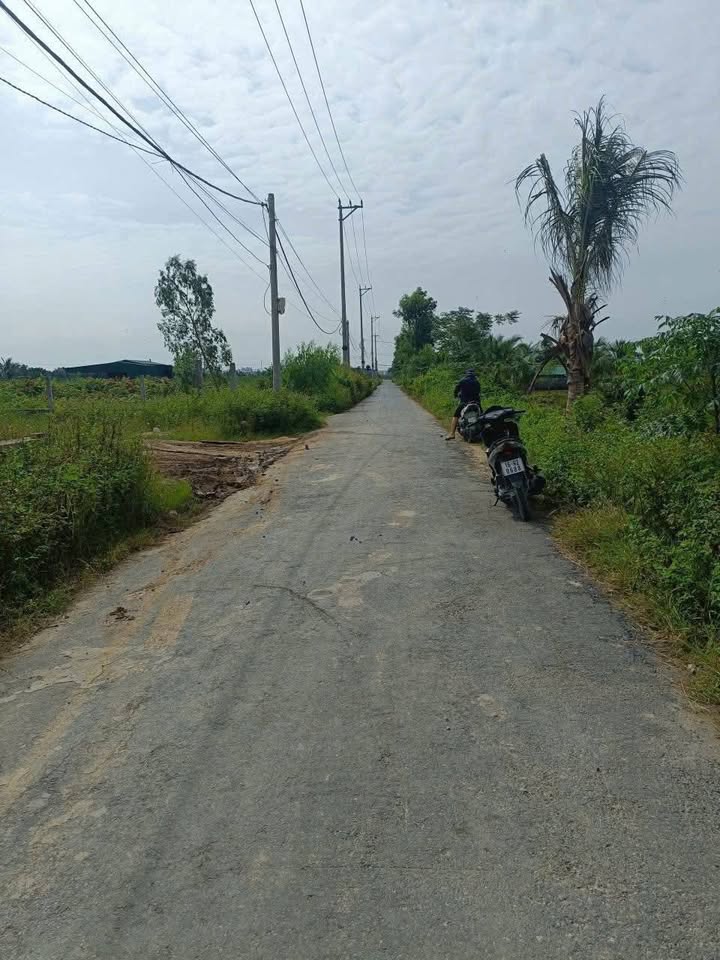 Đất vườn 1600m² tại thôn 8 - Tú Sơn - Giá chỉ 1 tỷ - Đầu tư sinh lời!